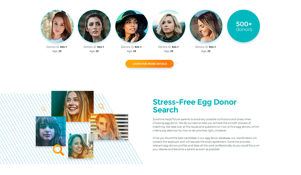 donor profiles image