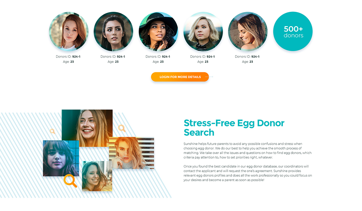 Choosing Between Fresh & Frozen Donor Eggs | The Donor Solution