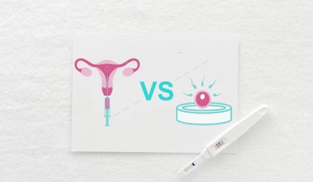 IUI vs IVF main image