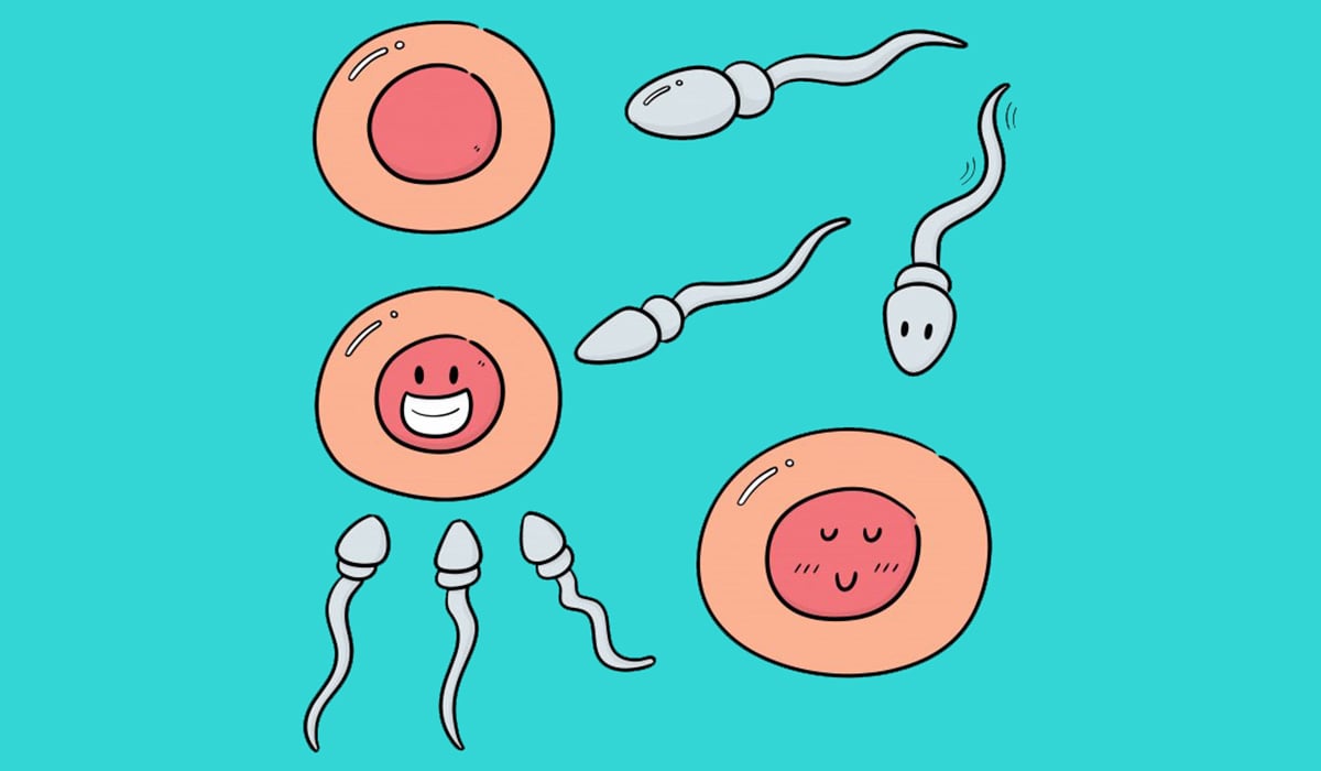 iui vs ivf - sperm quality image