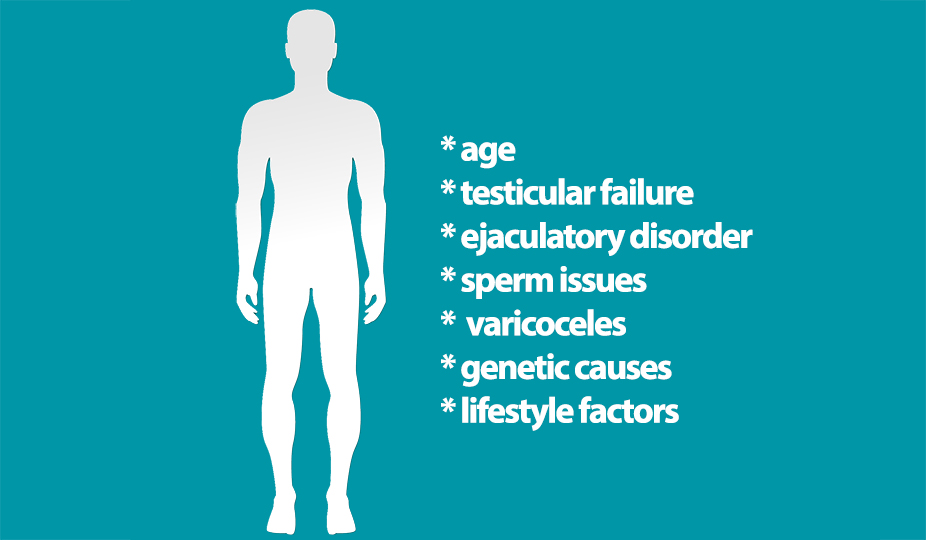 secondary male infertility factors