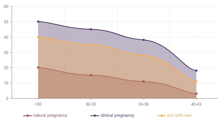 ivf success rates image