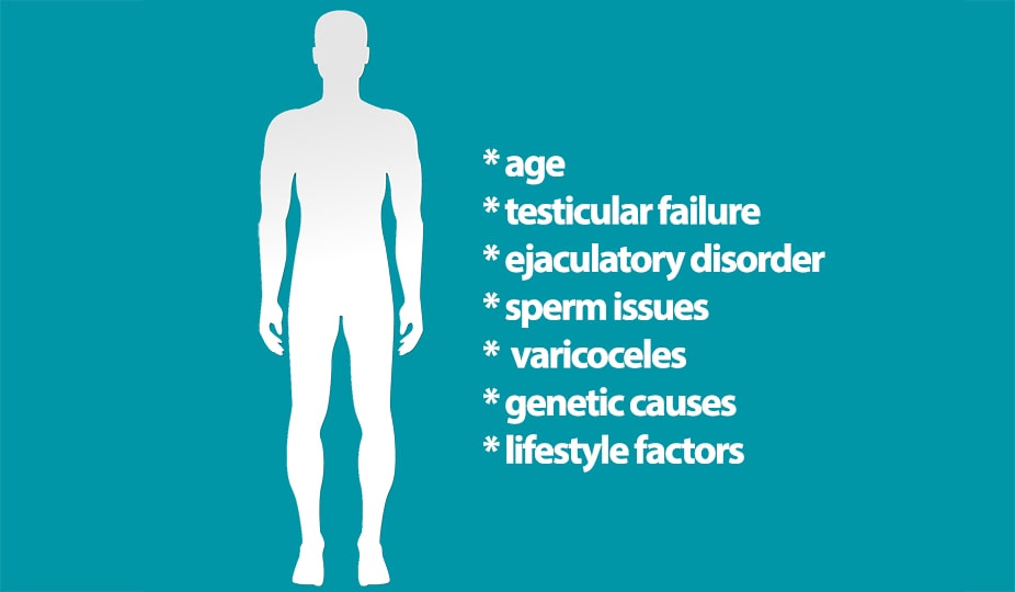 male infertility factors