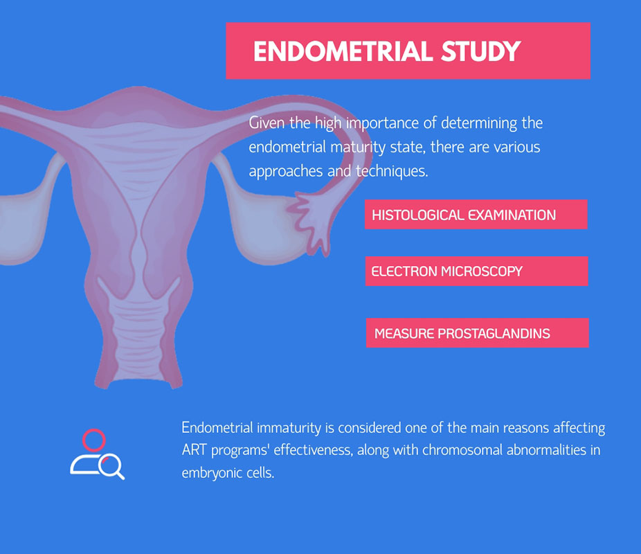 endometrial stydy means