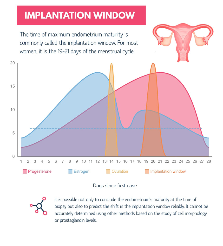 implatation window infographics