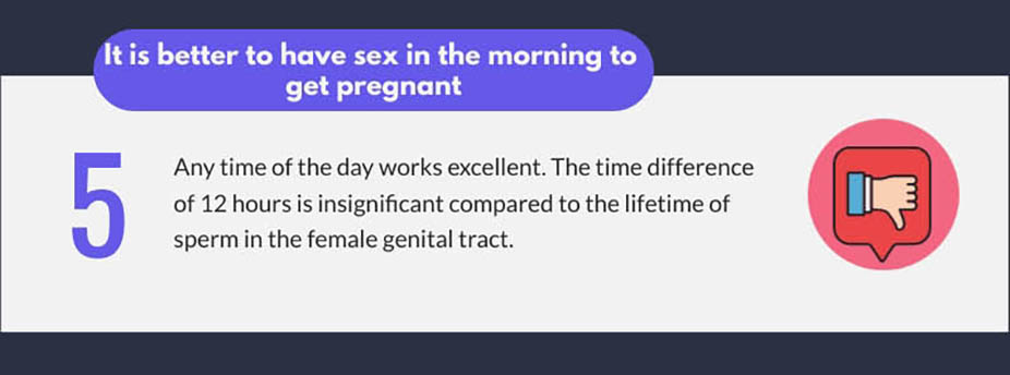 morning sex to get pregnant