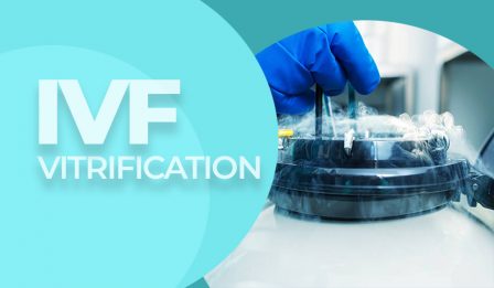 IVF oocyte and embryo vitrification main image
